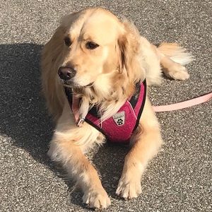 Meet your Posher, Paula